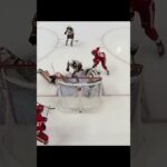GOAL Elmer Söderblom Red Wings v Ducks 5-1 NHL 2022-23#shorts