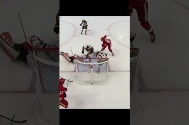 GOAL Elmer Söderblom Red Wings v Ducks 5-1 NHL 2022-23#shorts