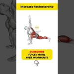How to increase testosterone
