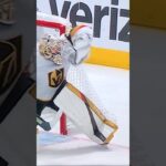 #33 Adin Hill flashes the big glove hand.