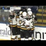 Providence Bruins vs Springfield Thunderbirds Highlights (1/11/20)