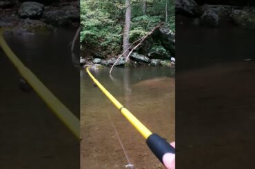 How to Catch Trout on Spinners