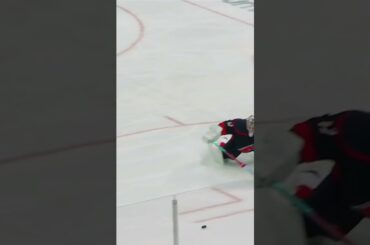 Vintage Poke Check-kov 👉