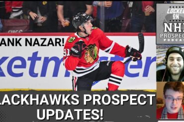 NAZAR AND LEVSHUNOV IN THE AHL SPOTLIGHT? | Blackhawks Prospect Updates