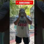 Peek A Boo - Punching while Slipping