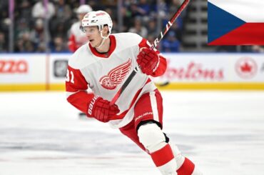 DOMINIK KUBALÍK VŠECHNY GÓLY V NHL SEZÓNA 2022/2023