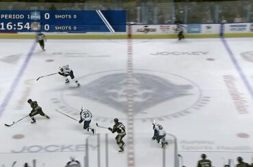 Grosenick Stops a Hershey Breakaway