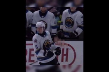 Stanislav Svozil spustil plyšákovou bouři. #CeskyHokej #Hokej #AHL