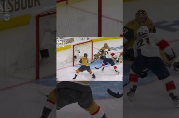 Adin Hill WITH THE SAVE OF HIS LIFE IN THE STANLEY CUP FINALS