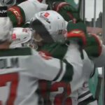 brock faber wins it in overtime - minnesota wild