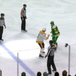 Back To Back Fights: Marcus Foligno Vs Jeremy Lauzon And Ben Jones Vs Zachary L'Heureux