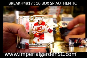 BREAK #4917 : 16 BOX 2023-24 #upperdeck SP AUTHENTIC HOBBY NHL HOCKEY CASE BREAK