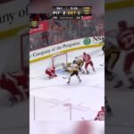 Penguins vs Red Wings | 12/31/24 | All Goals #hockey #nhl #pittsburgh #detroit #sports #sport