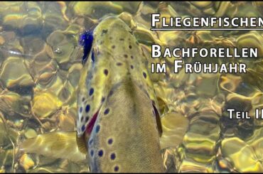 Fliegenfischen auf Bachforelle im Frühjahr Teil II - Fliegenfischen im Harz (Flyfishing browntrout)