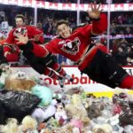 Teddy Bear Toss