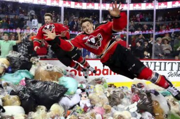 Teddy Bear Toss