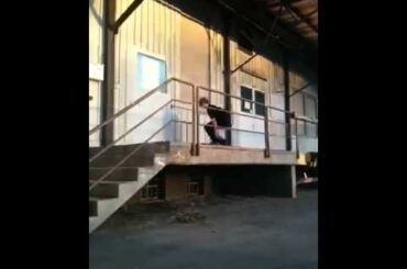 Linus skate 8