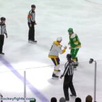 Jeremy Lauzon vs Marcus Foligno Dec 31, 2024