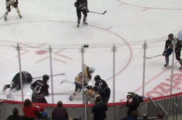 Tom Wilson Injures Teammate Martin Fehervary