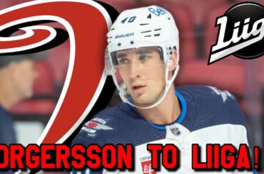 Daniel Torgersson To The Liiga!! Jets Fan Reaction!!