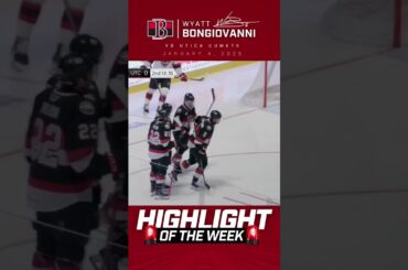 Highlight of the Week: Bonjo Hatty 🎩