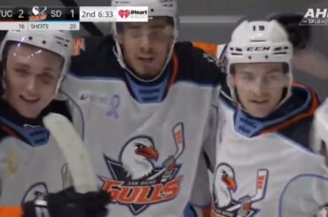 Recap: San Diego Gulls vs Tucson Roadrunners, 1.11