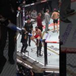 Merab Dvalishvili DETHRONES Sean O'Malley #ufc306