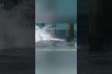 Close call! 😳 @tmothersdome Huntington Beach Longboard Classic