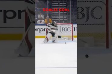 NHL GOALIE GOAL #goalie #hockey #highlightreel #goals #nhl #icehockey