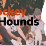Hockey & Hounds: Meet the Flyers Puppies