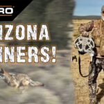 Arizona Coyotes With The X360 - Coyote Hunting