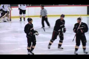 Selanne, Cogliano and Koivu Stand Out in Ducks Scrimmage
