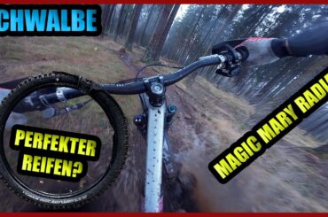 SCHWALBE Magic Mary RADIAL - Der PRFEKTE REIFEN fürs VORDERRAD?