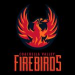 Fire & Ice Podcast - A Visit with AHL.com's Patrick Williams (January 27, 2025)