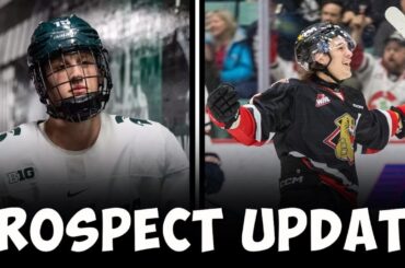 Minnesota Wild Prospect Roundup for NCAA & CHL | Aaron Poink having UNDERRATED season | Judd'z Budz