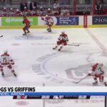 Icehogs vs. Griffins