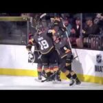 Colin Miller Goal vs STL October 21, 2017