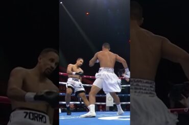 🔬 That Jai Opetaia KO vs Ellis Zorro In Slow-Mo 😮‍💨