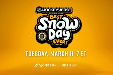 NHL Announces Bruins vs. Panthers Animated Stem-Cast on March 11th