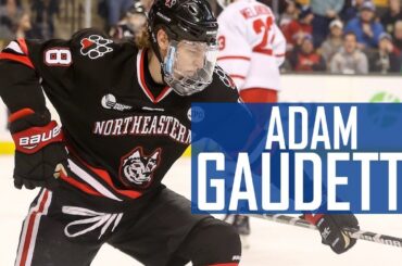 Adam Gaudette 2017-18 Highlights | #Canucks