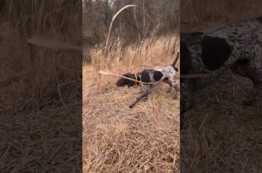 Pointing with intensity!