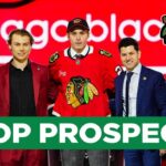 Scott Wheeler profiles the top Chicago Blackhawks prospects | CHGO Blackhawks Podcast