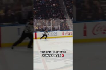 Alex Nedeljkovic Scores Goalie Goal - Has 2 point night