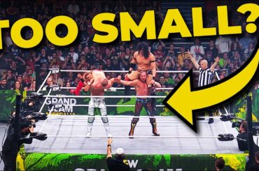 AEW’s Dumbest Scandal Ever (SERIOUSLY…)