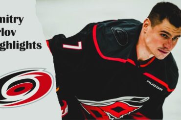 Dmitry Orlov Highlights