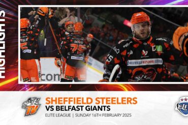 Sheffield Steelers v Belfast Giants - 16th February 2025