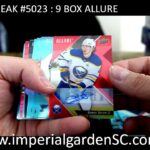 BREAK #5023 : 9 BOX 2024-25 #upperdeck ALLURE HOBBY NHL HOCKEY CASE BREAK