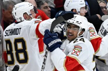 Justin Sourdif Gets First NHL Goal, Florida Panthers Drop Nashville Predators