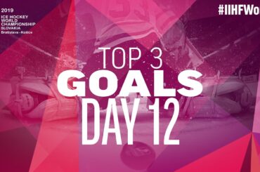 Nino Niederreiter gets the in tight goal for Switzerland