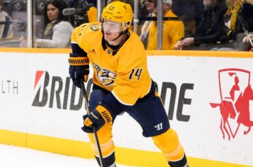 Minnesota Wild Trade For Gustav Nyquist